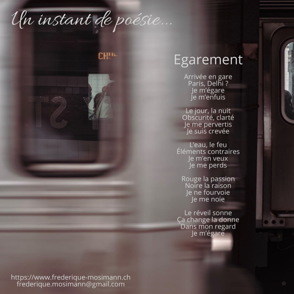 Un instant de poésie Frédérique Mosimann Le café des écorchés La toile enflammée Roman Auteur